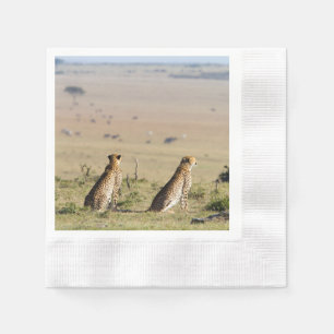Serviettes En Papier Two cheetahs on the look out