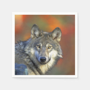 Serviettes En Papier Wolf_2015_0301