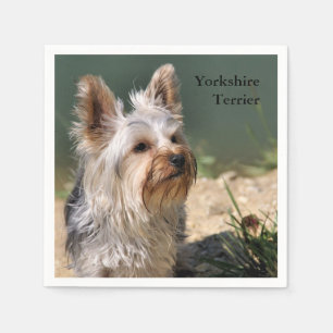 Serviettes En Papier Yorkshire Terrier