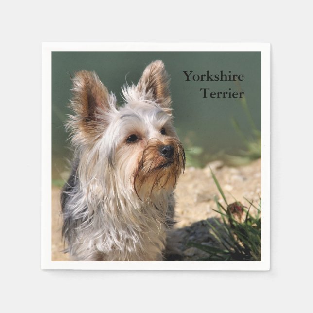 Serviettes En Papier Yorkshire Terrier (Devant)