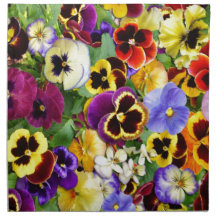 Jolies Pansies