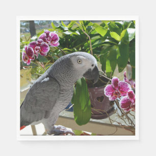 Serviettes Jetables African Grey Parrot with Orchids