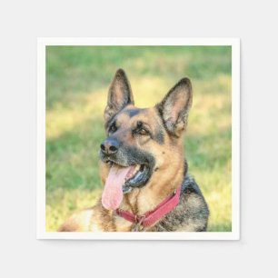 Serviettes Jetables Allemand Shepard