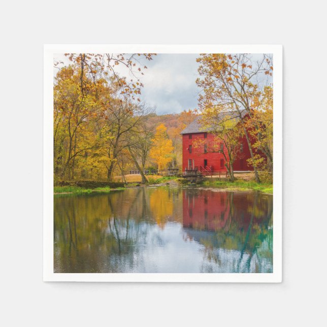 Serviettes Jetables Alley Mill Et Spring (Devant)