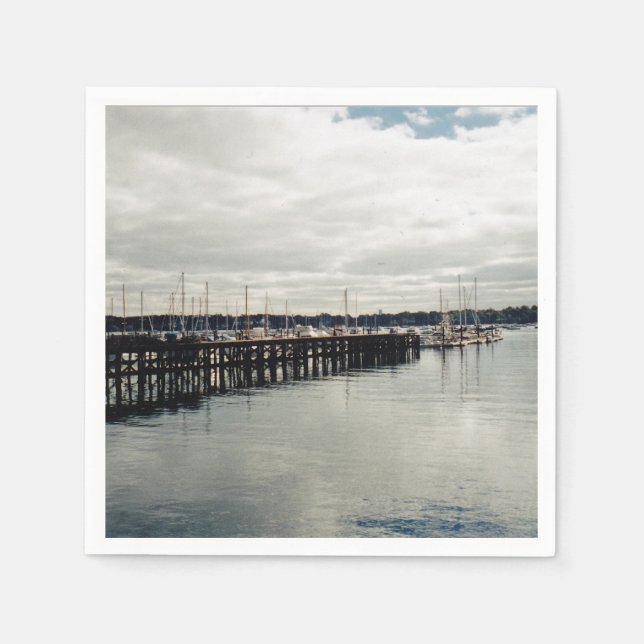 Serviettes Jetables Amarrages (Devant)