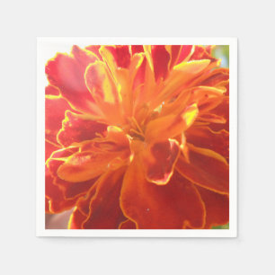 Serviettes Jetables Anastaise