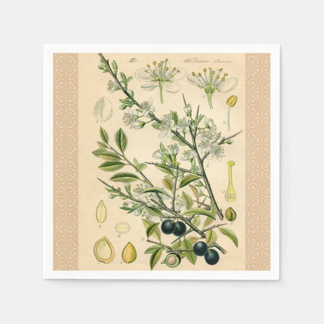 Serviettes Jetables Antique Blackthorn Botanique Imprimé Fleur Berry (Devant)