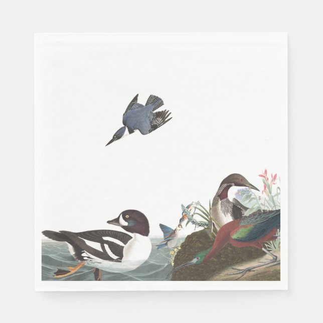 Serviettes Jetables Audubon Collage Oiseaux Livre de la faune (Devant)