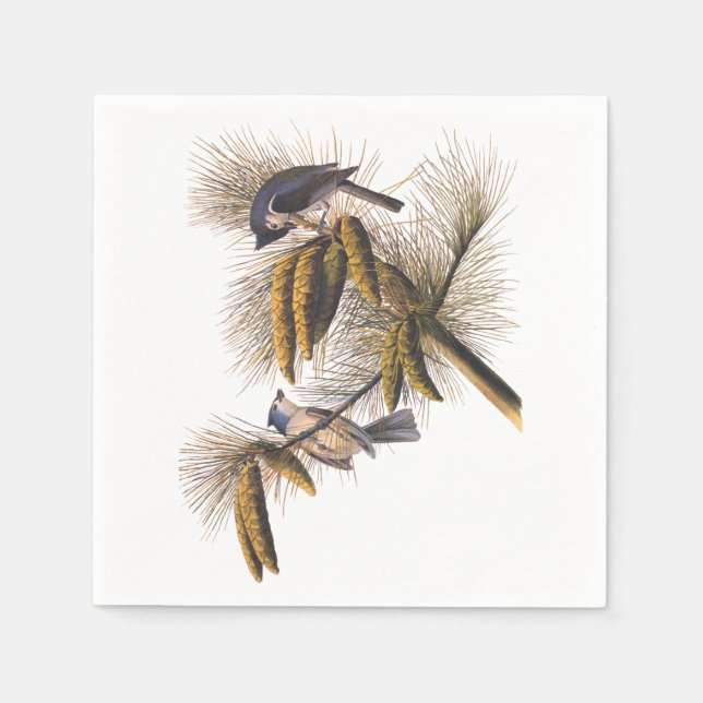 Serviettes Jetables Audubon Crested Titmouse Cocktail Napkins (Devant)