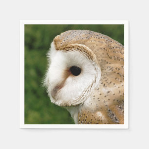 SERVIETTES JETABLES BARN OWL