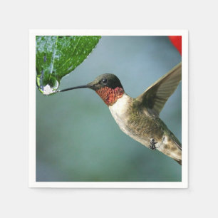 Serviettes Jetables Beau Paysage Naturel Colibri