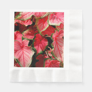 SERVIETTES JETABLES BEAUX PLANTES DE CALADIUM ROSE CLAIR