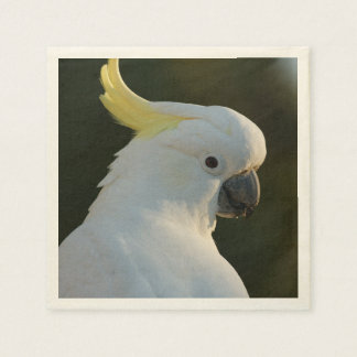 Serviettes Jetables Cacao en papier