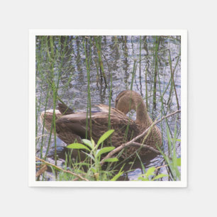 Serviettes Jetables Canard se lissant dans les roseaux