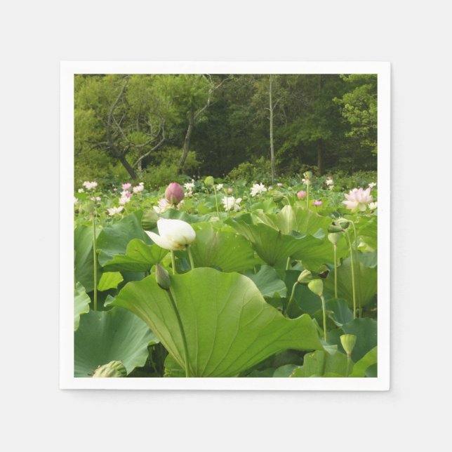 Serviettes Jetables Champ de fleurs de Lotus Jardin d'été (Devant)