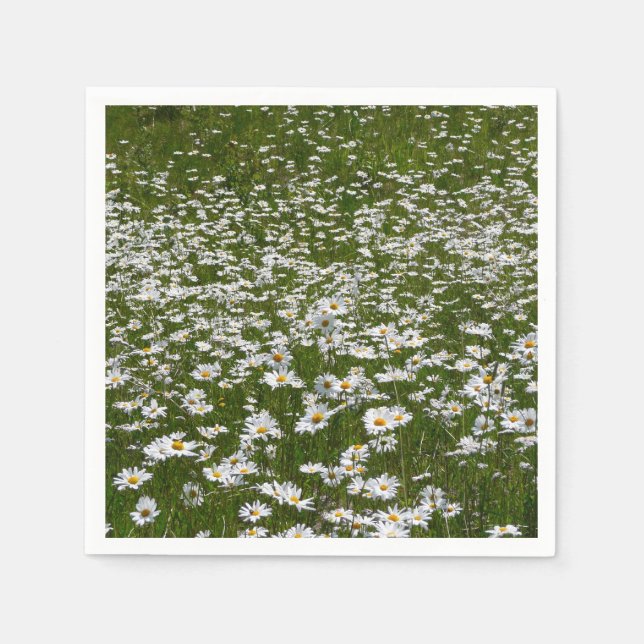 Serviettes Jetables Champ de marguerites Fleurs sauvages de l'Alaska (Devant)