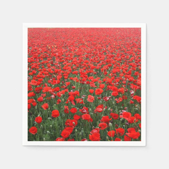 Serviettes Jetables Champ de Red Poppies (Devant)