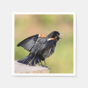 Serviettes Jetables Chant de Blackbird à ailes rouges