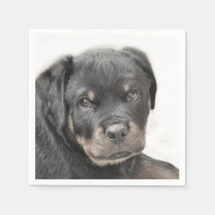 Serviettes Jetables Chien Rottweiler