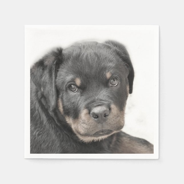 Serviettes Jetables Chien Rottweiler (Devant)
