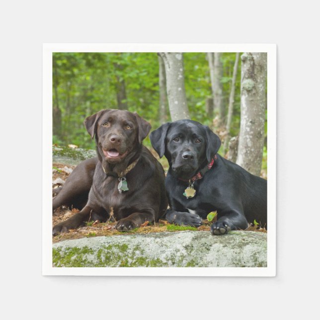 Serviettes Jetables Chiens Chiens Marionnettes Black Lab Chocolat Labr (Devant)