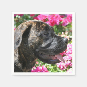 Serviettes Jetables Chiot Brindle de mastiff
