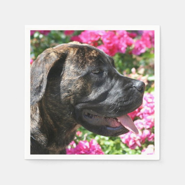 Serviettes Jetables Chiot de Brindle Mastiff (Devant)