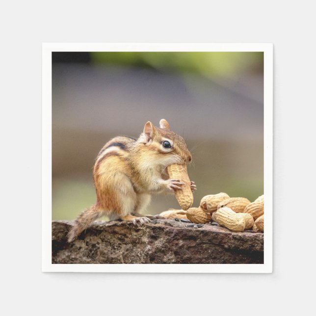 Serviettes Jetables Chipmunk mange une cacahuète (Devant)