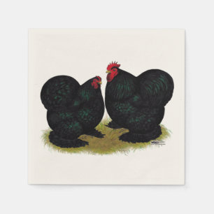 Serviettes Jetables Cochins Black Bantam Paire