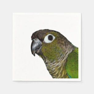 Serviettes Jetables Conure verte à mâcher