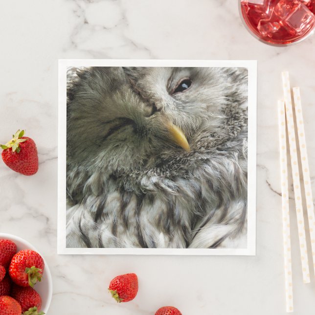 SERVIETTES JETABLES COUPER OWL (En situation)