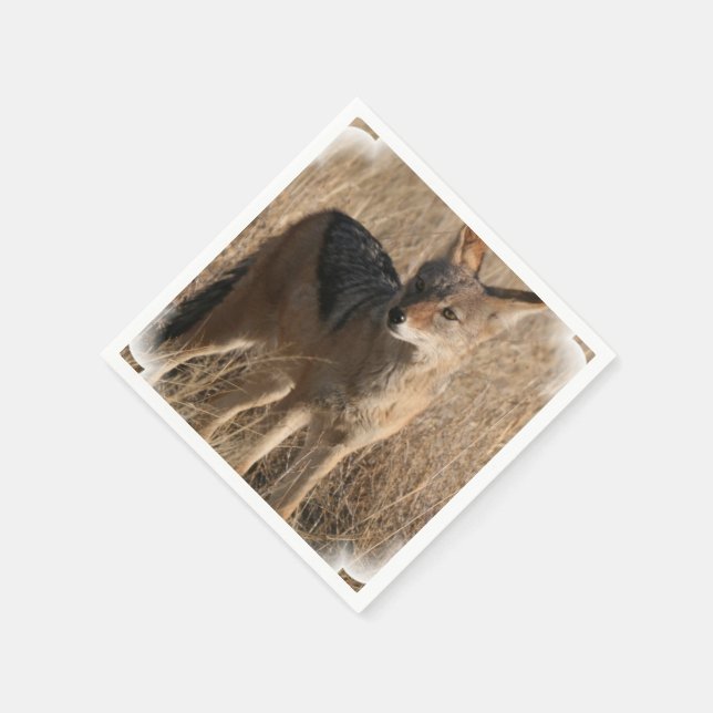 Serviettes Jetables Coyote (Coin)