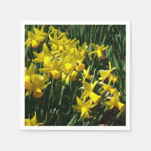 Serviettes Jetables Daffodiles Jaunes I Fleurs De Printemps Cheveux