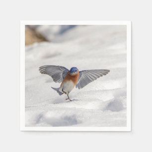 Serviettes Jetables Danse orientale d'oiseau bleu dans la neige