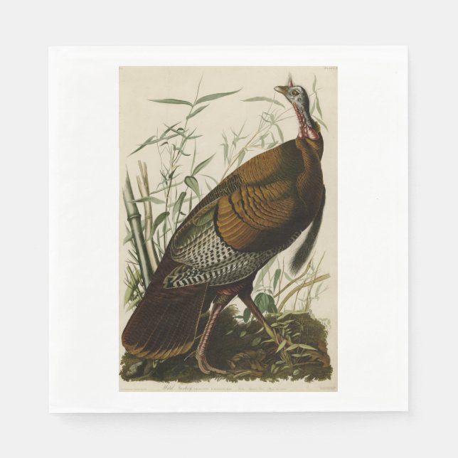 Serviettes Jetables Dinde de Thanksgiving John James Audubon (Devant)