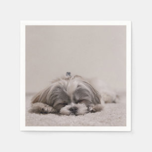 Serviettes Jetables Dormir Shih tzu Cocktail serviettes, chien couchan