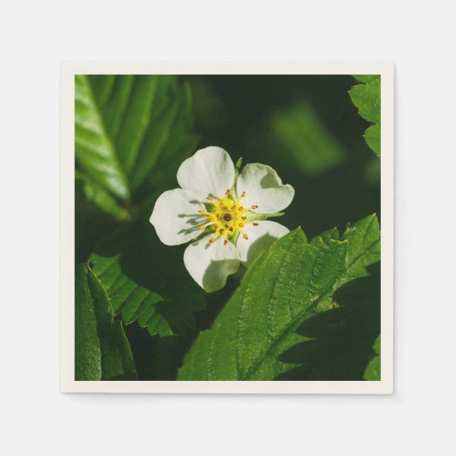 Serviettes Jetables Fleur de fraises sauvages (Devant)