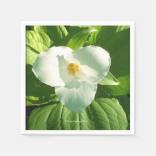Serviettes Jetables Fleur de Trillium