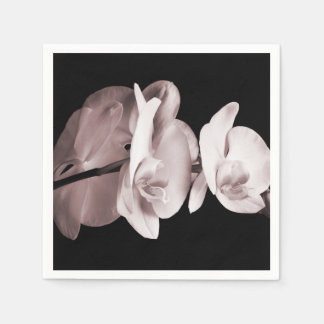 Serviettes Jetables Fleur d'orchidée blanche Arrière - plan noir Abstr