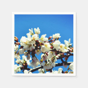 Serviettes Jetables Fleurs de cerisier blanc printemps, arbre à fleurs
