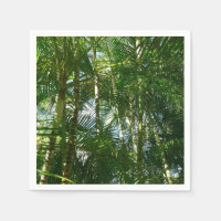 Forest of Palm Trees Tropical Nature
