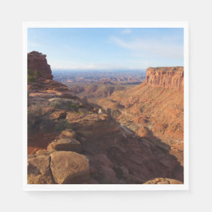 Serviettes Jetables Grand View Point dans le parc national de Canyonla