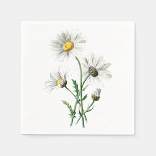 Serviettes Jetables Illustration florale vintage blanc marguerite