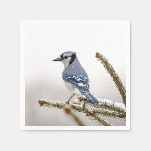 Serviettes Jetables Jay bleu en hiver
