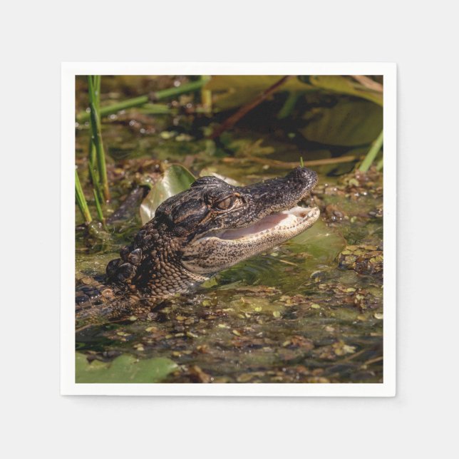 Serviettes Jetables Jeune Alligator (Devant)