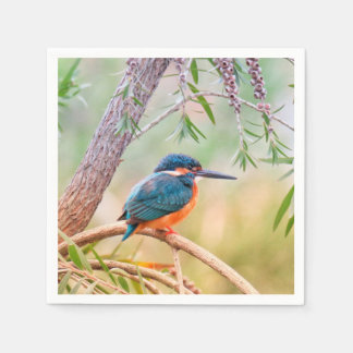 Serviettes Jetables Kingfisher Perché sur la branche