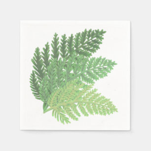 Serviettes Jetables La fougère verte de la mousse