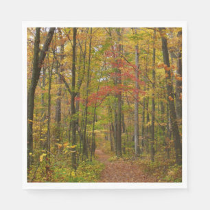 Serviettes Jetables Le sentier Laurel Hill à l'automne