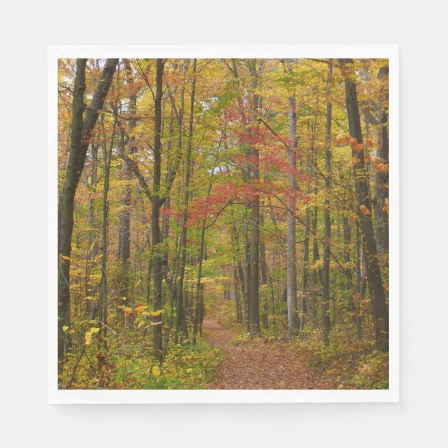 Serviettes Jetables Le sentier Laurel Hill à l'automne (Devant)