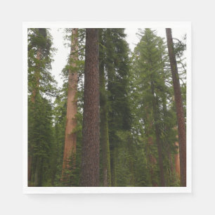 Serviettes Jetables Mariposa Grove dans le parc national de Yosemite